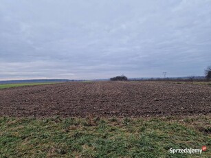 Wydzierżawię pole ziemię rolną 6 ha