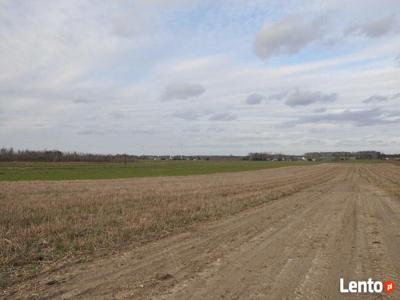 Działka budowlana - Maciejów gm. Zgierz