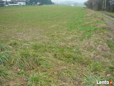 Działka budowlana -rzemieślnicza 17 arowa