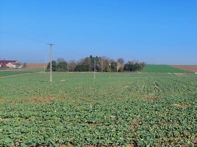 Atrakcyjna działka zagrodowa- tylko 20 min. od Lublina!