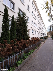 Bezposrednio Centrum ul Dzielna 2 pokoje - Metro