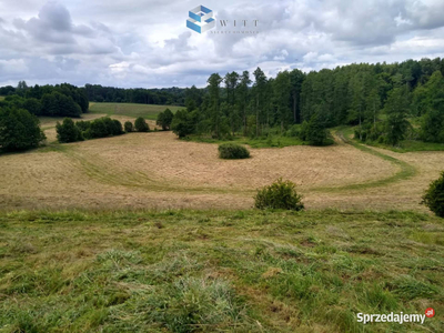 Działka 500000m2 Wapnik