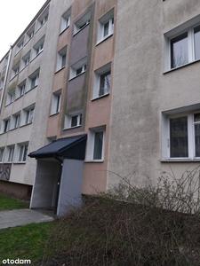 5 pokoi | 120m2 ogród | 