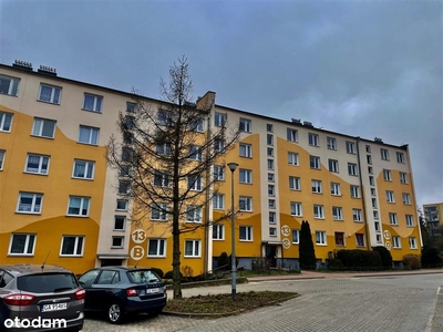 Apartament z widokiem na morze | Shellter