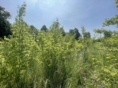 Działka na sprzedaż, łaski, Chrząstawa