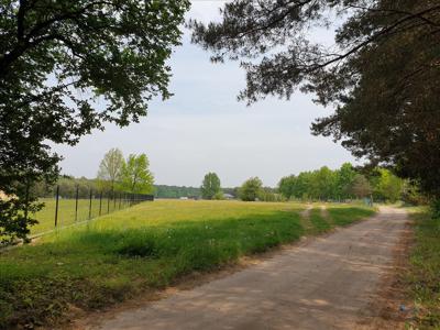 Działka na sprzedaż, Gostyniński, Choinek