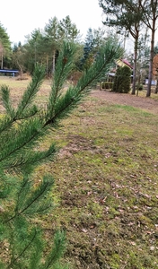 Bezpośrednio Działka nad Bugiem 38 km od Warszawy