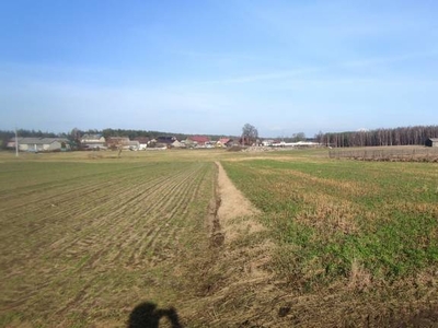 Działka budowlana Rosochatka Śliwice Bory Tucholskie