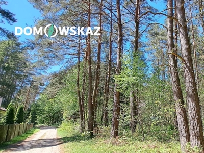 Działka leśna Żarki-Letnisko, ul. Wiejska