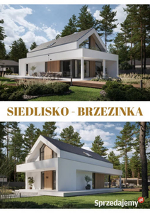 Siedlisko Brzezinka