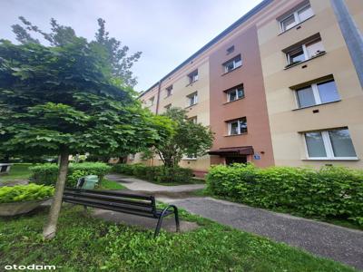Mieszkanie 35m2, 2-pokoje, Nowy Sącz, Daszyńskiego