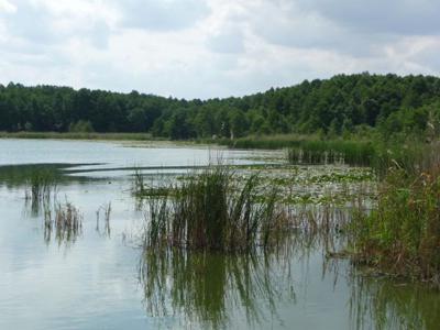 Duża okazja ! Działka nad jeziorem 1,5 ha za 17 zł m2. Projekt domku.