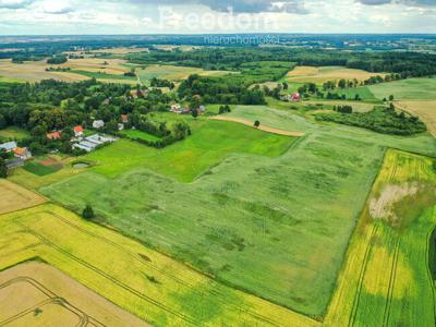 Działka rolna w Gudnikach 11,5ha