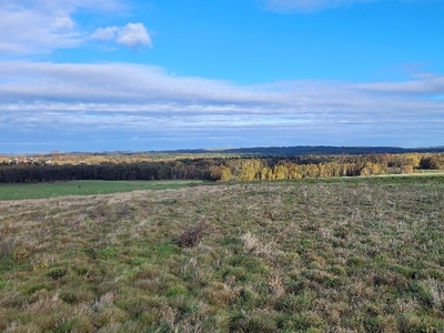 Działka budowlana Gryfów Śląski