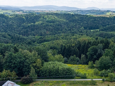 Działka inna Rzepiennik Strzyżewski