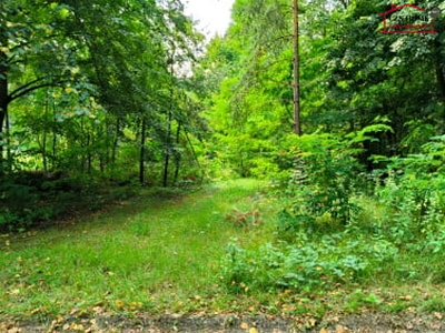 Działka rolno-budowlana Woźbin