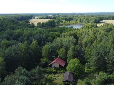 Działka budowlana Muchocin, ul. Świerkowa