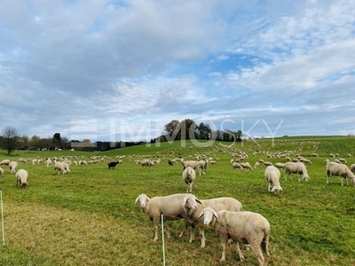 Działka inna Horgau