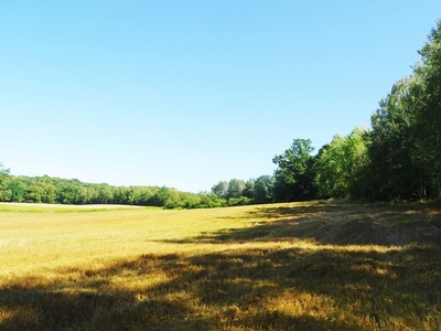 Działka rolna Gruta