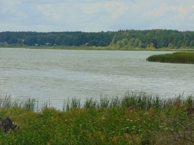 Działka z linią brzegową jeziora Krąg Konarzyny gmina Stara Kiszewa