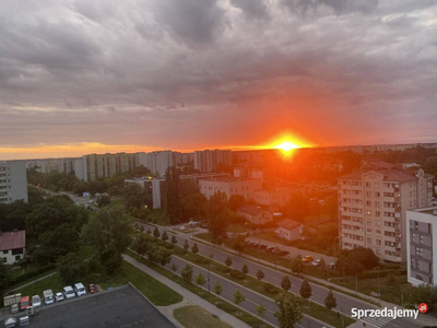 Mieszkanie dwupokojowe na sprzedaż