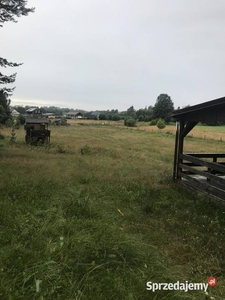 Syndyk sprzeda atrakcyjną nieruchomość nad jeziorem