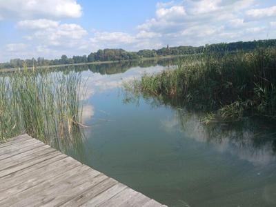 Dom na dużej działce z linią brzegową jeziora