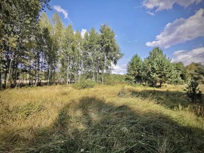 Piękna ziemia - Strękowizna pod Augustowem + (film pokazując