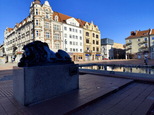 Biuro, Rynek