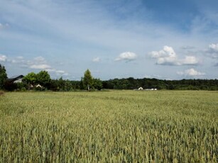 Działka budowlana, ul. Szkolna