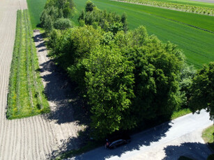 Działka budowlana Wola Duża-Kolonia