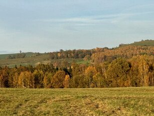 Działka rolna Siedlęcin