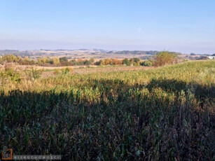 Działka siedliskowa Wilków