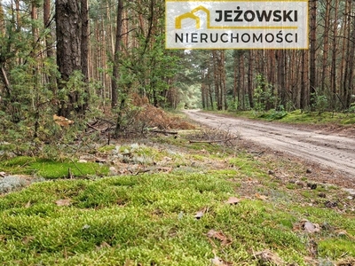 Działka budowlana Janowice