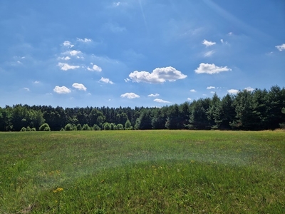 Działka budowlana Orzesze, ul. Malinowa