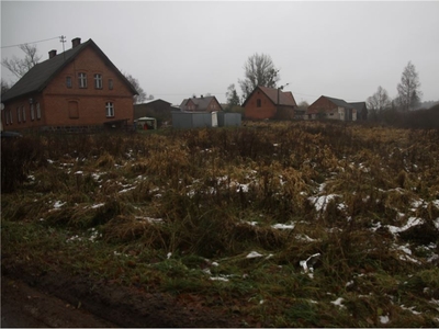 Działka budowlana Sprzedaż Drzewina, Polska