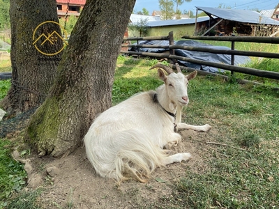 Działka inna Biały Dunajec, ul. Tadeusza Kościuszki